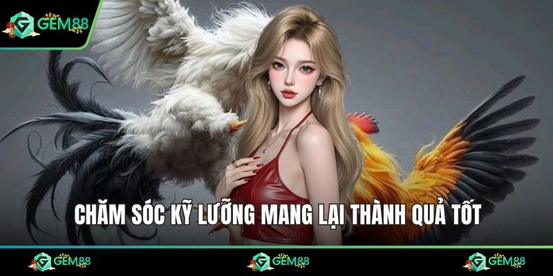 Chăm sóc kỹ lưỡng mang lại thành quả tốt