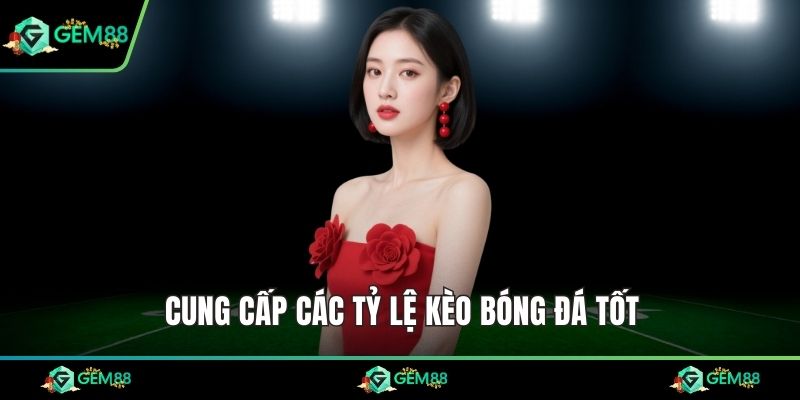 Cung cấp các tỷ lệ kèo bóng đá tốt