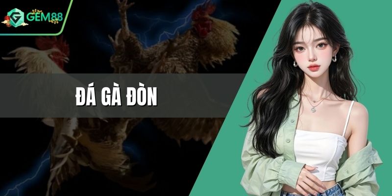 Đá Gà Đòn - Sân Chơi Giải Trí Đẳng Cấp Hàng Đầu 2026