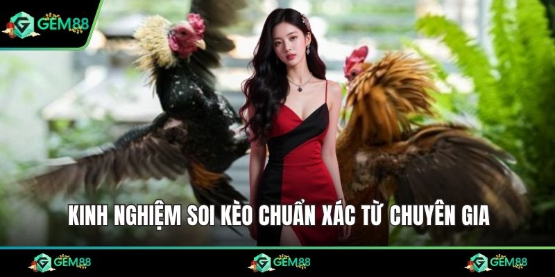 Kinh nghiệm soi kèo chuẩn xác từ chuyên gia
