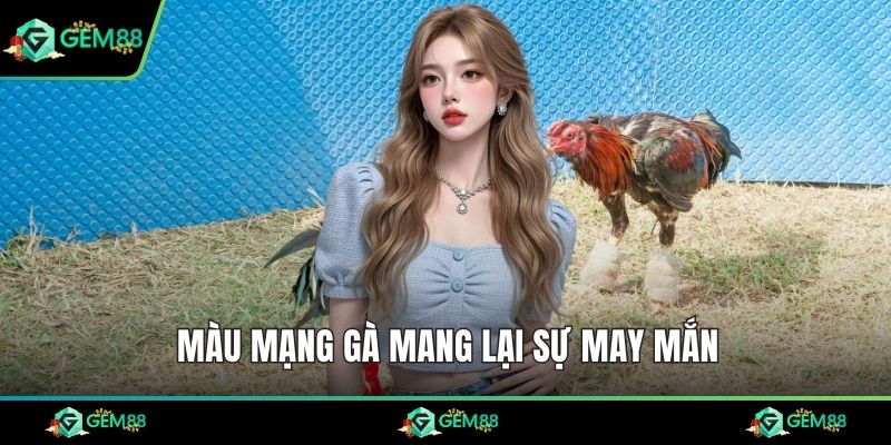 Màu mạng gà mang lại sự may mắn