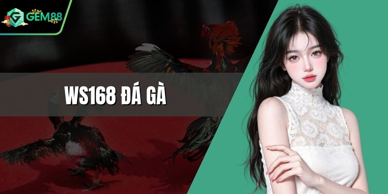 WS168 Đá Gà - Nơi Thỏa Mãn Đam Mê Trực Tuyến Đỉnh Cao