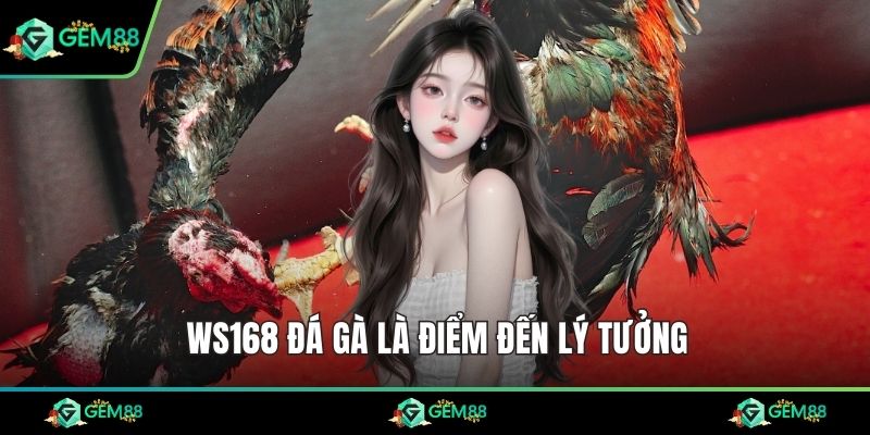 WS168 đá gà là điểm đến lý tưởng